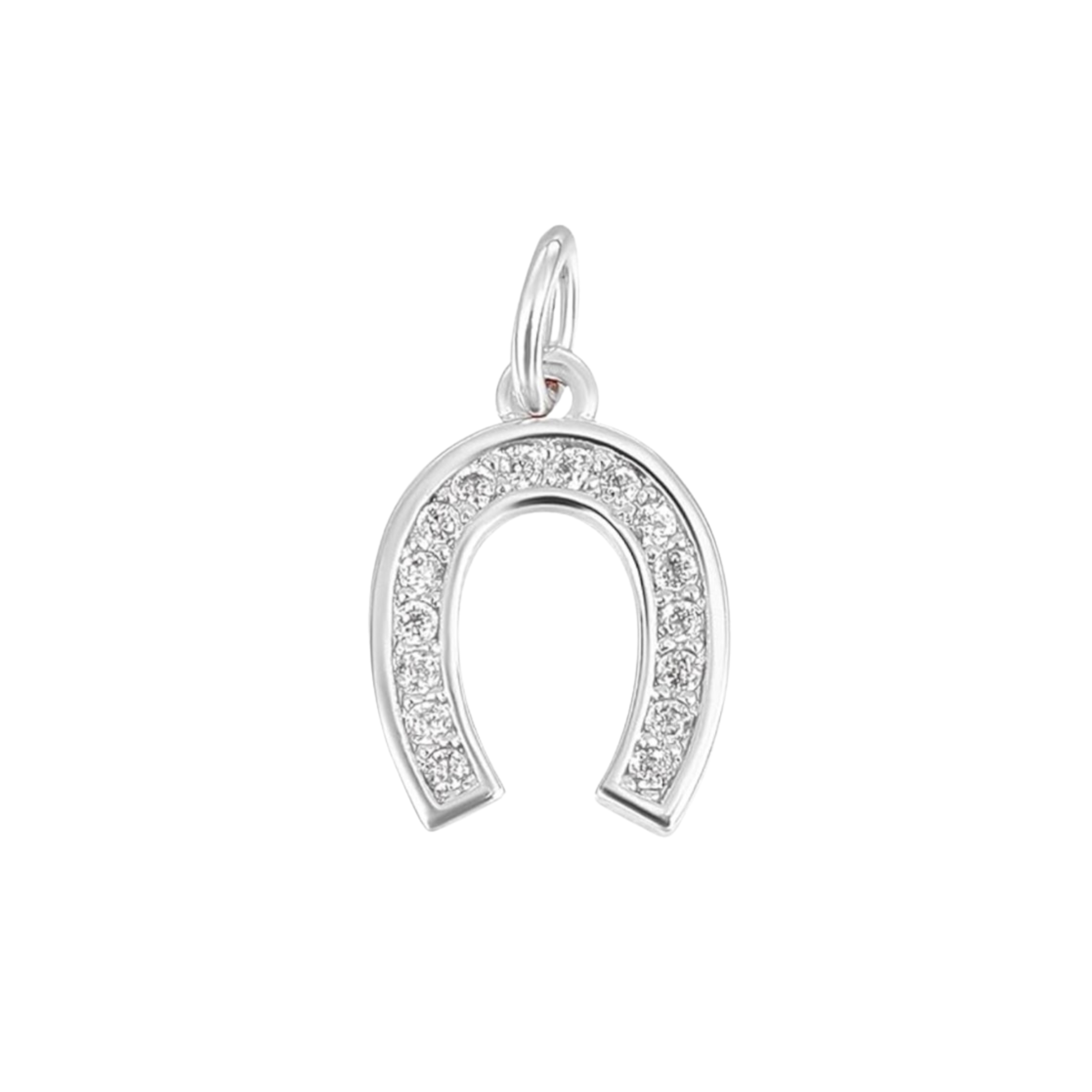 Silver Horseshoe Charm