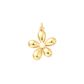 Gold Pearl Daisy Charm